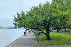 国安京鲁大战惨败，董路炮轰赛蒂恩，亚冠前景堪忧